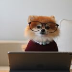 Tips for Safe Computer User