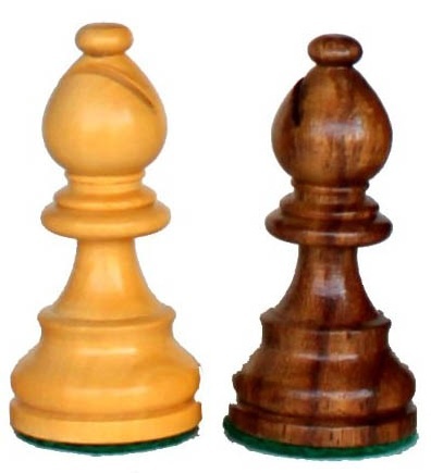 Chess शतरंज 13 camel Chess शतरंज