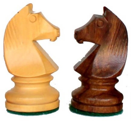 Chess शतरंज 11 horse Chess शतरंज