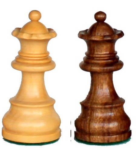 Chess शतर ज