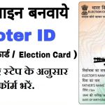 voter id