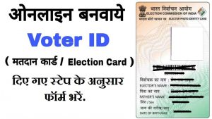 voter id