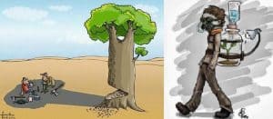 mat kato mat chhal utaro वृक्ष मत काटो मत छाल उतारो