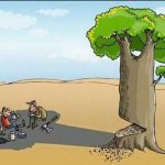 importance of tree