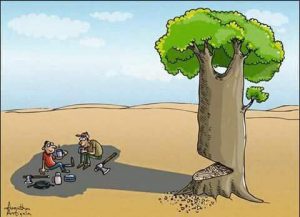 importance of tree