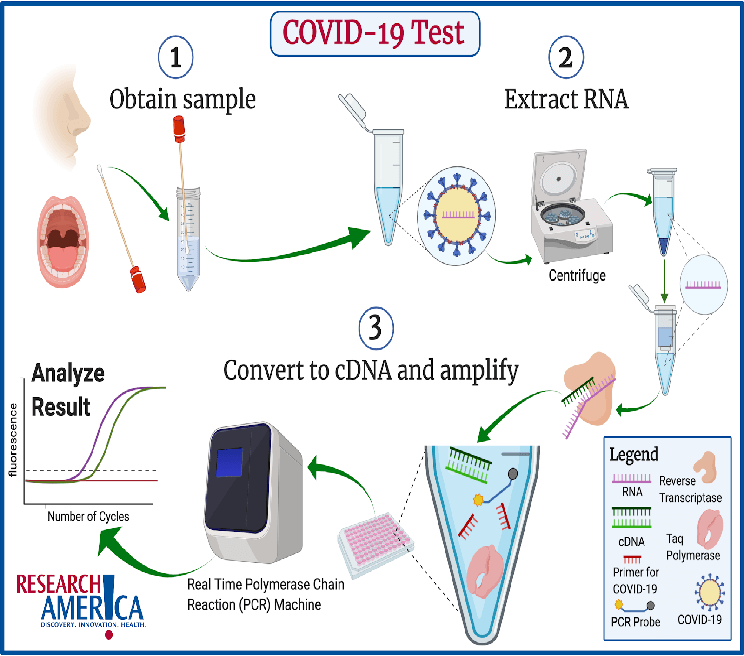 What Is Rt Pcr Test Why Take Rt Pcr Test