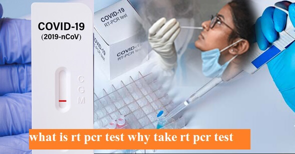 what is rt pcr test why take rt pcr test