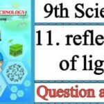 9th Science Notes Maharashtra Board Part 11