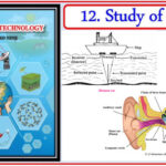 Part 12 Study of Sound 9th Science Notes