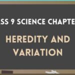 Part 16 Heredity and Variation Question Answer 9th Science Notes