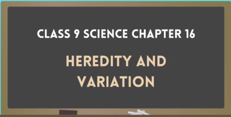 Part 16 Heredity and Variation Question Answer 9th Science Notes
