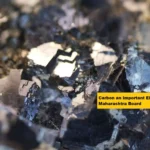 Carbon an Important Element Class 9 Maharashtra Board