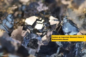 Carbon an Important Element Class 9 Maharashtra Board