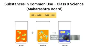 Substances in Common Use – Class 9 Science (Maharashtra Board)